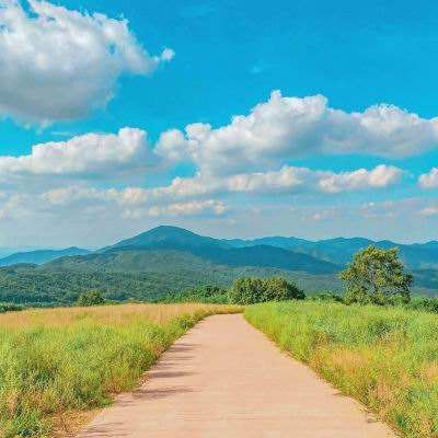 乐鱼app登录入口