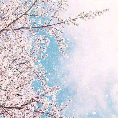 天天中彩票手机app下载