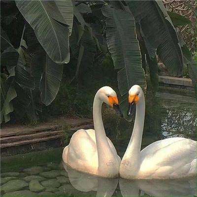 亚博网APP最新版本手机版