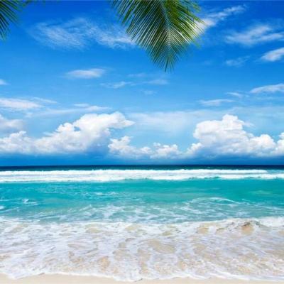 亿博电竞官网登录